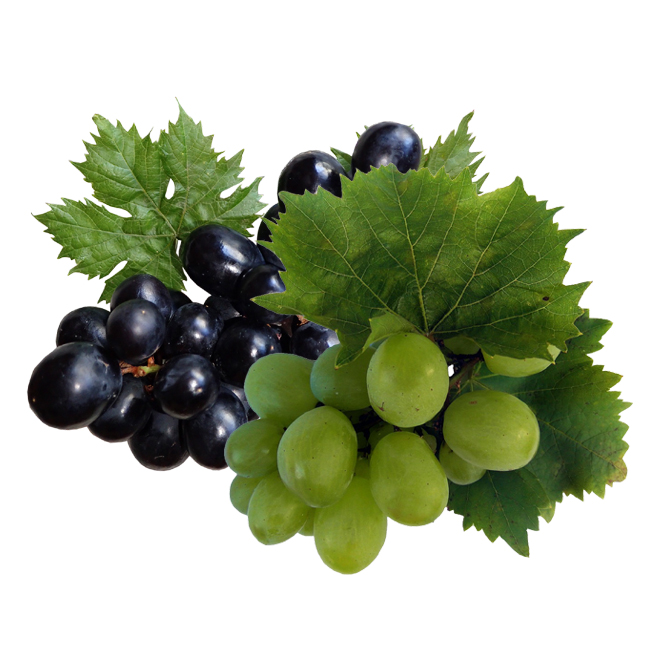 Grapes